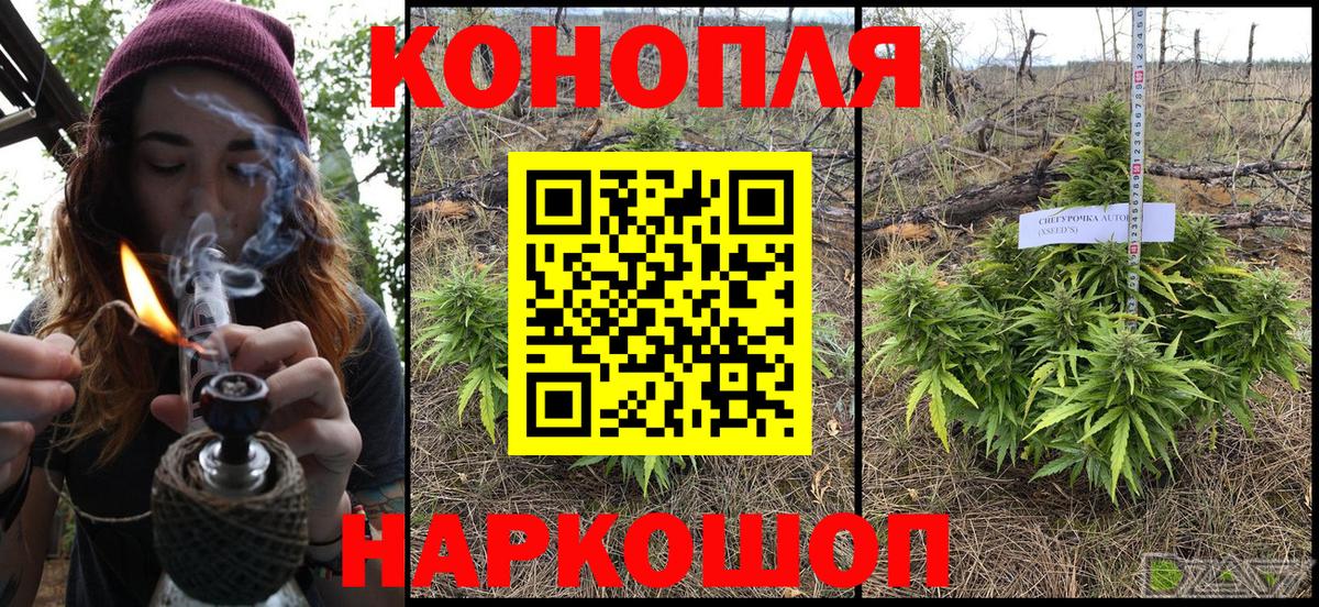 МАРИХУАНА план Красноярск